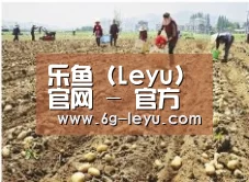 种植基地一
