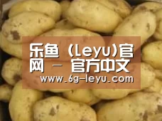 产品展示标题6