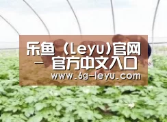 种植基地三