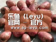 产品展示标题5