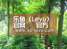 种植基地九