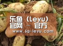 产品展示标题2