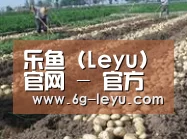 种植基地七(图1)
