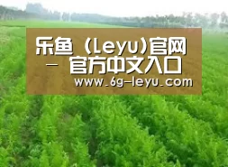 种植基地四