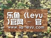 种植基地八(图1)