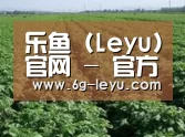 种植基地五(图1)