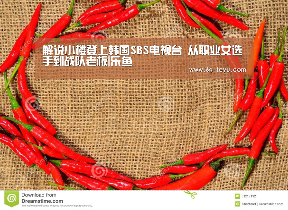解说小楼登上韩国SBS电视台 从职业女选手到战队老板|乐鱼(图2) 乐鱼体育