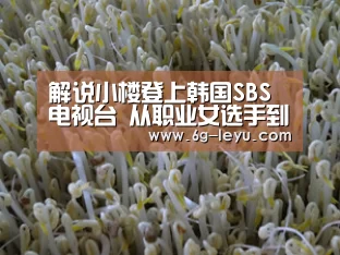 解说小楼登上韩国SBS电视台 从职业女选手到战队老板|乐鱼(图3) 乐鱼