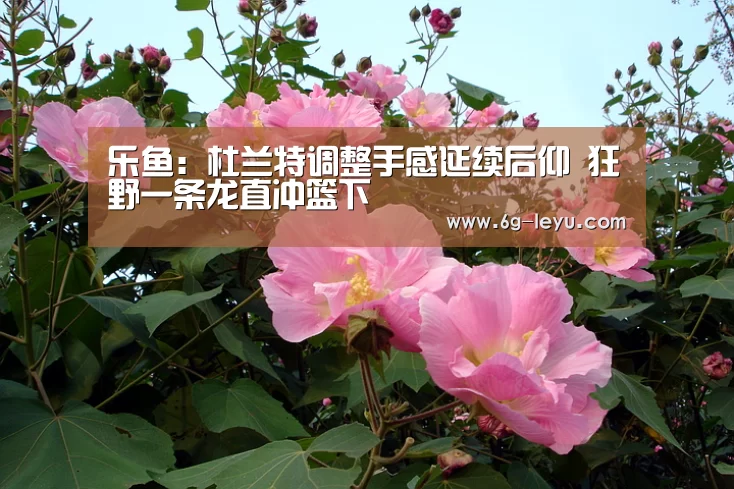 乐鱼:杜兰特调整手感延续后仰 狂野一条龙直冲篮下(图1) 乐鱼:杜兰特调整手感延续后仰 狂野一条龙直冲篮下(图1)